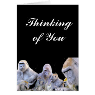 Gorillas & Chimpanzes_