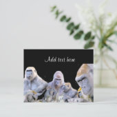 Gorillas & Chimpanzes_ Postkarte (Stehend Vorderseite)