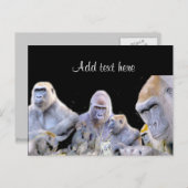 Gorillas & Chimpanzes_ Postkarte (Vorne/Hinten)