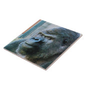 GORILLAS FLIESE (Seite)