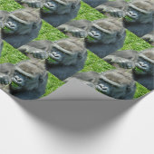 GORILLAS GESCHENKPAPIER (Ecke)