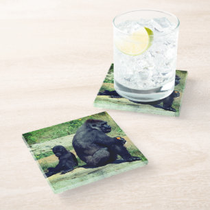 Gorillas Glasuntersetzer