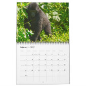 Gorillas in den Bergen Ugandas Kalender (Feb 2027)