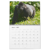 Gorillas in den Bergen Ugandas Kalender (Mär 2027)