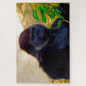 Gorillas. Jigsaw Puzzle (Vertikal)
