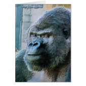 GORILLAS-Karte (Vorne)