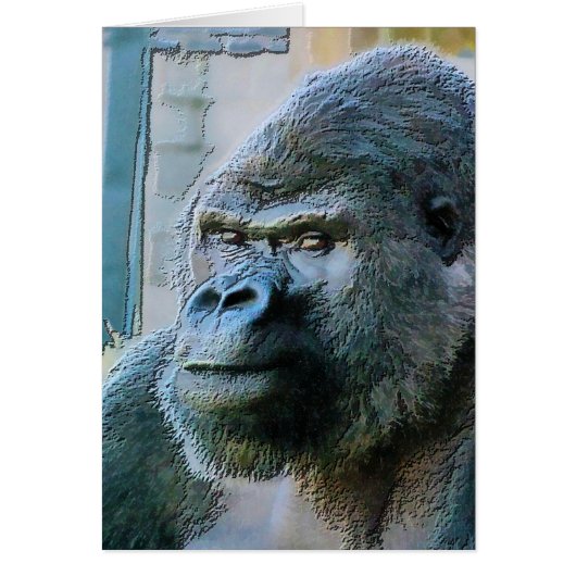 GORILLAS-Karte (Vorne)