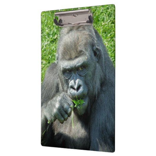 GORILLAS KLEMMBRETT (Links)