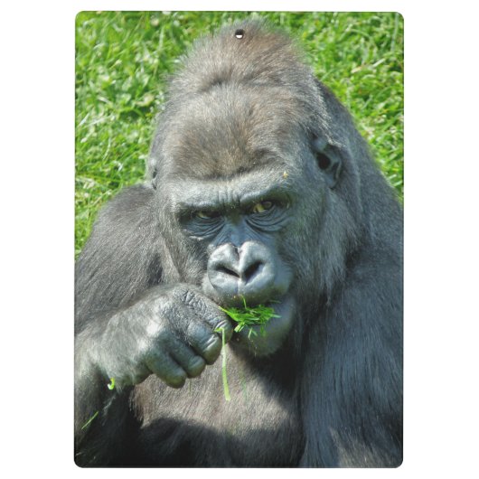 GORILLAS KLEMMBRETT (Rückseite)