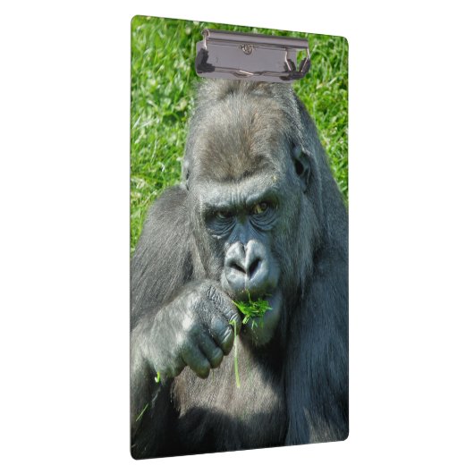 GORILLAS KLEMMBRETT (Rechts)