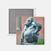 GORILLAS MAGNET (Vorderseite/Rückseite)