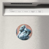 GORILLAS MAGNET (In Situ (Geschirrspüler))