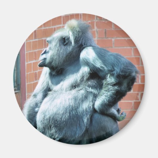 GORILLAS MAGNET (Vorne)