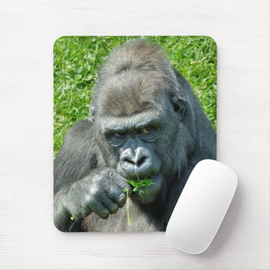 GORILLAS MOUSEPAD (Mit Mouse)