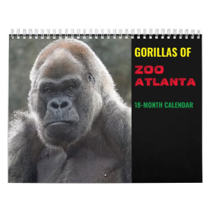 Gorillas of Zoo Atlanta 2022 Kalender (18 Monate)