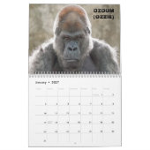 Gorillas of Zoo Atlanta 2022 Kalender (18 Monate) (Jan 2027)