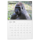 Gorillas of Zoo Atlanta 2023 Calendar Kalender (Mär 2026)