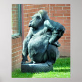 GORILLAS POSTER (Vorne)