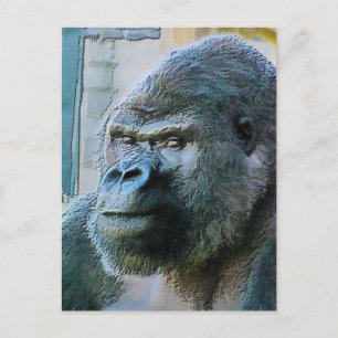 GORILLAS POSTKARTE