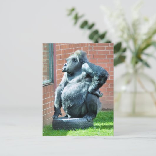 GORILLAS POSTKARTE (Stehend Vorderseite)