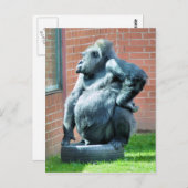 GORILLAS POSTKARTE (Vorne/Hinten)