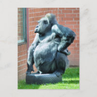 GORILLAS
