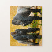 Gorillas. Puzzle (Vertikal)