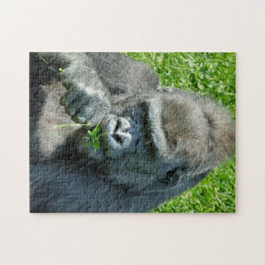 GORILLAS PUZZLE (Horizontal)