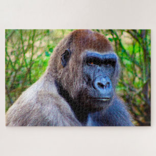 Gorillas. Puzzle
