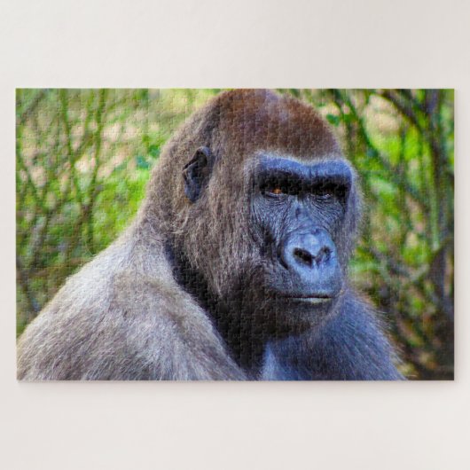 Gorillas. Puzzle (Horizontal)
