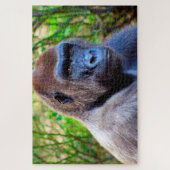 Gorillas. Puzzle (Vertikal)