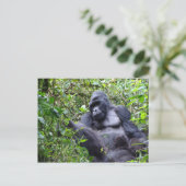 Gorillas - Ruanda Postcard Postkarte (Stehend Vorderseite)