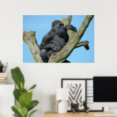 Gorillas ruhiger Baum Perch Poster (Heimbüro)