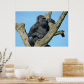 Gorillas ruhiger Baum Perch Poster (Küche)