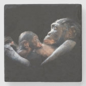 Gorillas Steinuntersetzer (Vorderseite)