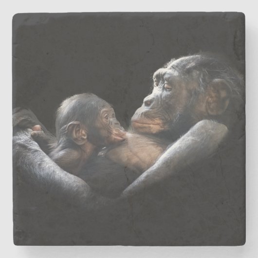 Gorillas Steinuntersetzer (Vorderseite)