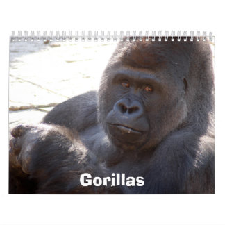 Gorillas tragen, Gorillas ein Kalender