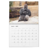 Gorillas tragen, Gorillas ein Kalender (Mär 2027)