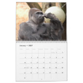 Gorillas tragen, Gorillas ein Kalender (Jan 2027)