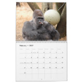 Gorillas tragen, Gorillas ein Kalender (Feb 2027)