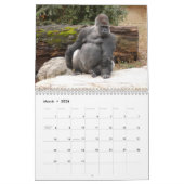 Gorillas tragen, Gorillas ein Kalender (Mär 2026)