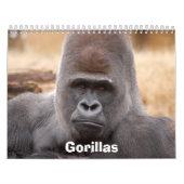 Gorillas tragen, Gorillas ein Kalender (Titelbild)