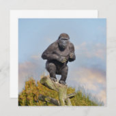 Gorillas Tree-Balancing Act (Vorne/Hinten)