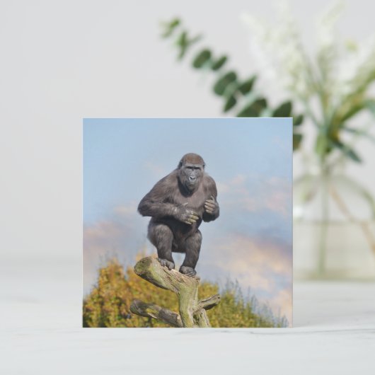 Gorillas Tree-Balancing Act (Stehend Vorderseite)