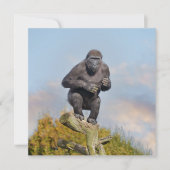 Gorillas Tree-Balancing Act (Vorderseite)