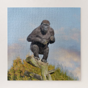 Gorillas Tree-Balancing Act Puzzle