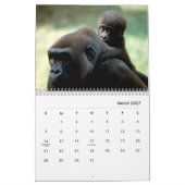Gorillas Wall Calendar Kalender (Mär 2027)
