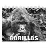 Gorillas Wall Calendar Kalender (Titelbild)