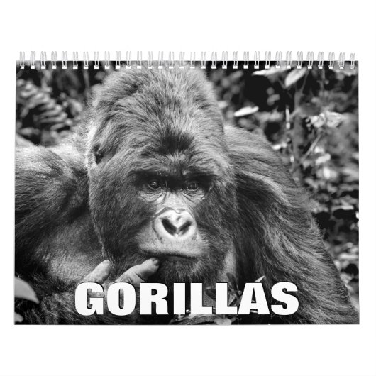 Gorillas Wall Calendar Kalender (Titelbild)