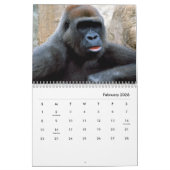 Gorillas Wall Calendar Kalender (Feb 2026)